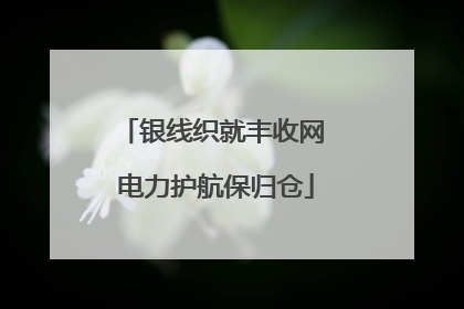 银线织就丰收网 电力护航保归仓