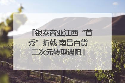 银泰商业江西“首秀”折戟 南昌百货二次元转型遇阻