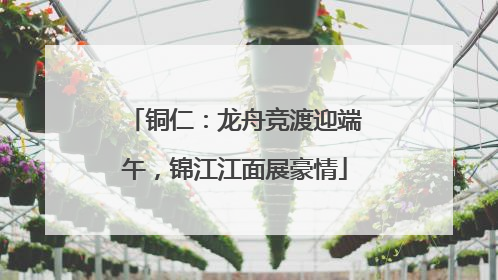 铜仁：龙舟竞渡迎端午，锦江江面展豪情
