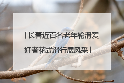 长春近百名老年轮滑爱好者花式滑行展风采