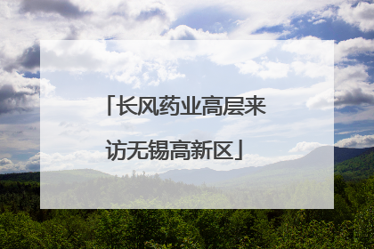 长风药业高层来访无锡高新区