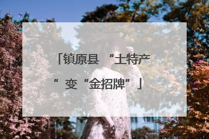 镇原县 “土特产”变“金招牌”