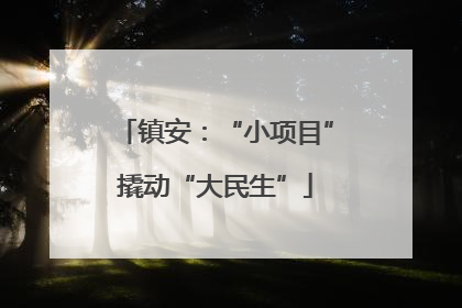 镇安：“小项目”撬动“大民生”
