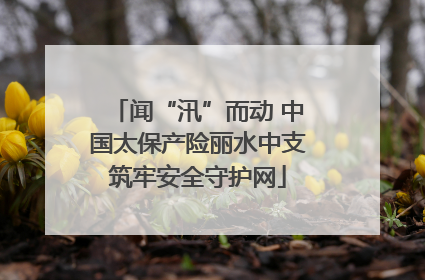 闻“汛”而动 中国太保产险丽水中支筑牢安全守护网