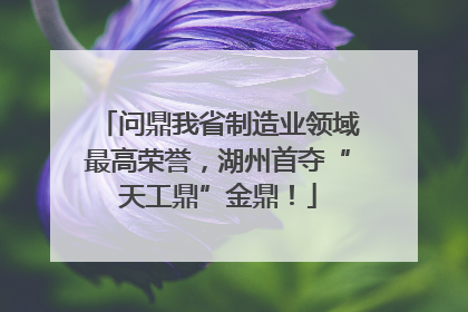 问鼎我省制造业领域最高荣誉，湖州首夺“天工鼎”金鼎！