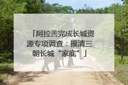 阿拉善完成长城资源专项调查：摸清三朝长城“家底”