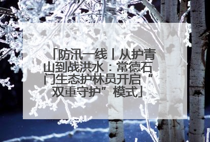 防汛一线丨从护青山到战洪水：常德石门生态护林员开启“双重守护”模式