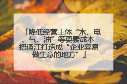 降低经营主体“水、电、气、油”等要素成本 把通江打造成“企业容易做生意的地方”