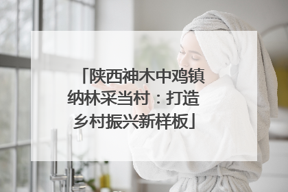 陕西神木中鸡镇纳林采当村：打造乡村振兴新样板