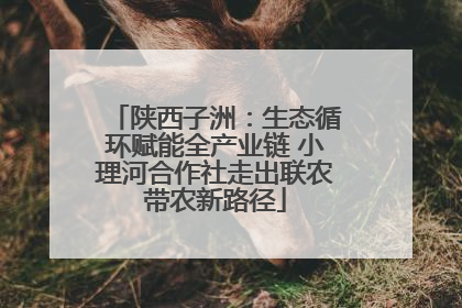 陕西子洲：生态循环赋能全产业链 小理河合作社走出联农带农新路径