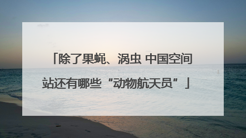除了果蝇、涡虫 中国空间站还有哪些“动物航天员”