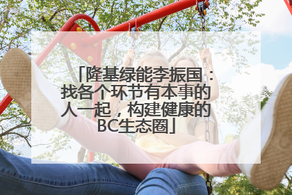 隆基绿能李振国：找各个环节有本事的人一起，构建健康的BC生态圈
