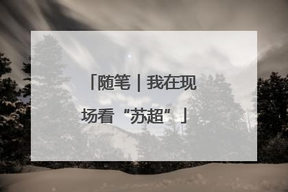 随笔｜我在现场看“苏超”
