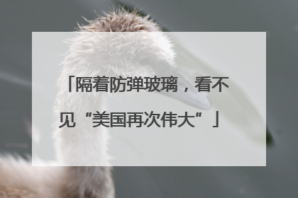 隔着防弹玻璃，看不见“美国再次伟大”