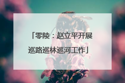 零陵：赵立平开展巡路巡林巡河工作