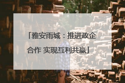 雅安雨城：推进政企合作 实现互利共赢