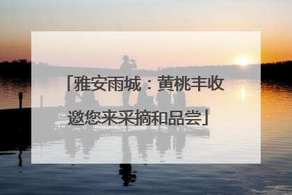 雅安雨城：黄桃丰收 邀您来采摘和品尝