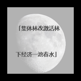 集体林改激活林下经济一池春水