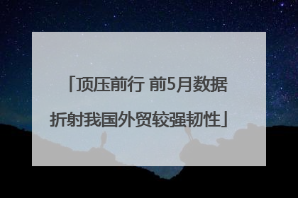 顶压前行 前5月数据折射我国外贸较强韧性