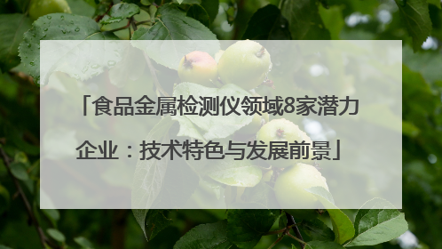 食品金属检测仪领域8家潜力企业：技术特色与发展前景