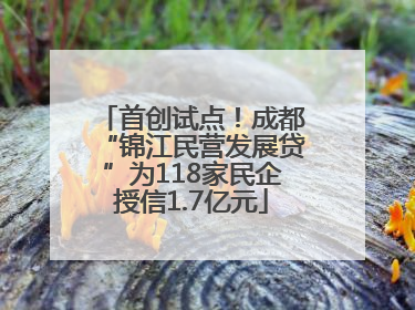 首创试点！成都“锦江民营发展贷”为118家民企授信1.7亿元