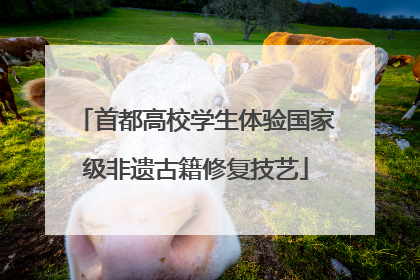 首都高校学生体验国家级非遗古籍修复技艺