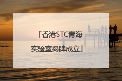 香港STC青海实验室揭牌成立