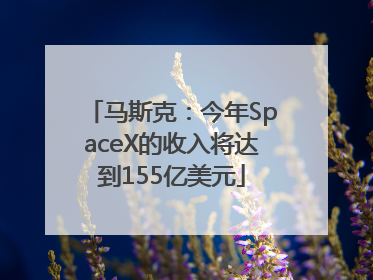 马斯克：今年SpaceX的收入将达到155亿美元