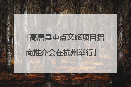 高唐县重点文旅项目招商推介会在杭州举行