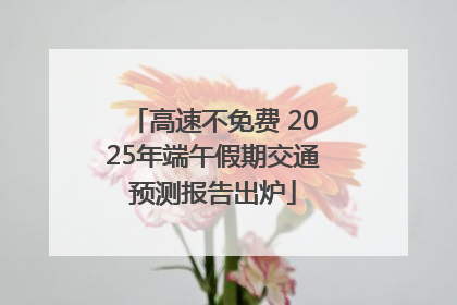 高速不免费 2025年端午假期交通预测报告出炉