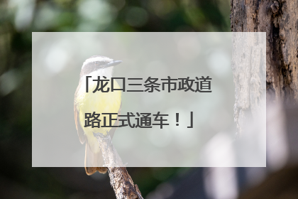 龙口三条市政道路正式通车！