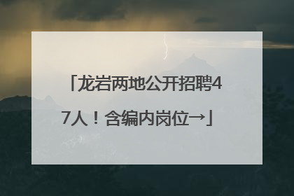 龙岩两地公开招聘47人！含编内岗位→
