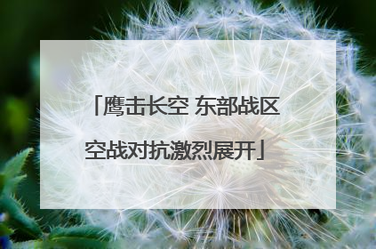 鹰击长空 东部战区空战对抗激烈展开