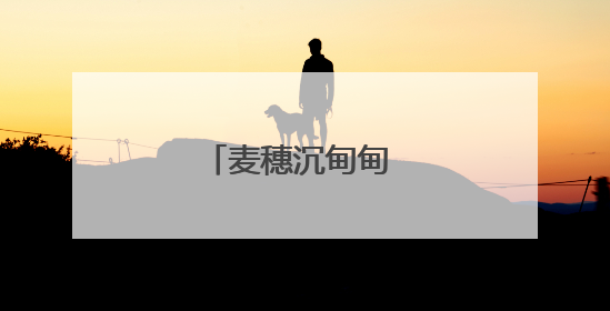 麦穗沉甸甸 粮安稳当当