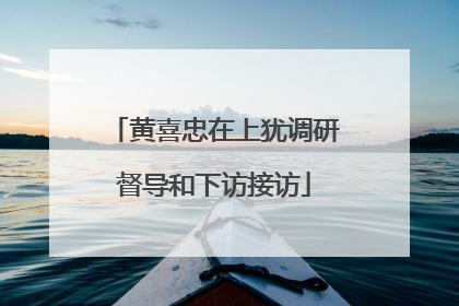 黄喜忠在上犹调研督导和下访接访