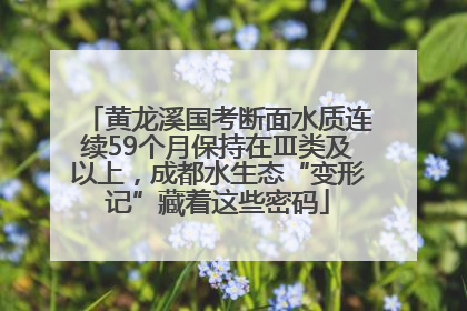 黄龙溪国考断面水质连续59个月保持在Ⅲ类及以上，成都水生态“变形记”藏着这些密码