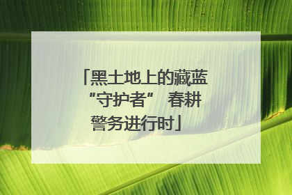 黑土地上的藏蓝“守护者” 春耕警务进行时