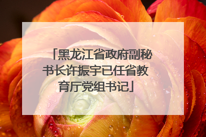 黑龙江省政府副秘书长许振宇已任省教育厅党组书记