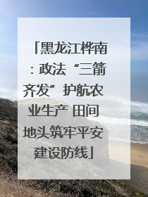 黑龙江桦南：政法“三箭齐发”护航农业生产 田间地头筑牢平安建设防线
