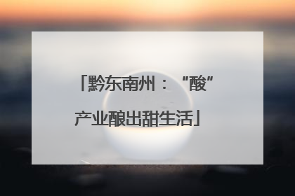 黔东南州：“酸”产业酿出甜生活