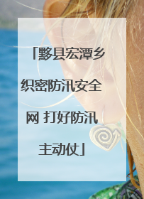 黟县宏潭乡织密防汛安全网 打好防汛主动仗