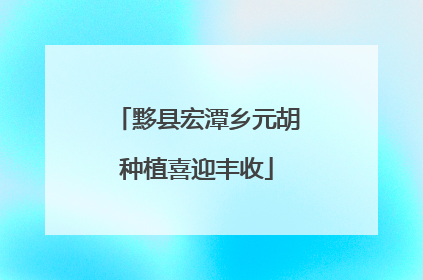 黟县宏潭乡元胡种植喜迎丰收