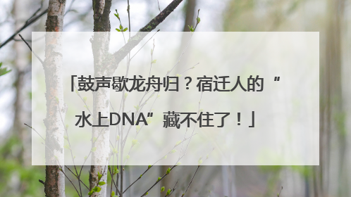 鼓声歇龙舟归？宿迁人的“水上DNA”藏不住了！