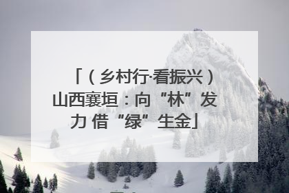 （乡村行·看振兴）山西襄垣：向“林”发力 借“绿”生金