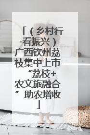 （乡村行·看振兴）广西钦州荔枝集中上市 “荔枝+农文旅融合”助农增收