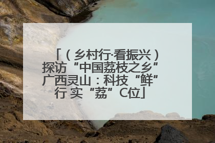 （乡村行·看振兴）探访“中国荔枝之乡”广西灵山：科技“鲜”行 实“荔”C位