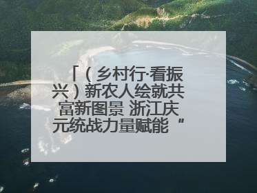 （乡村行·看振兴）新农人绘就共富新图景 浙江庆元统战力量赋能“海拔经济”