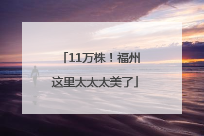 11万株！福州这里太太太美了
