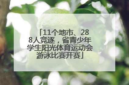 11个地市、288人竞逐，省青少年学生阳光体育运动会游泳比赛开赛