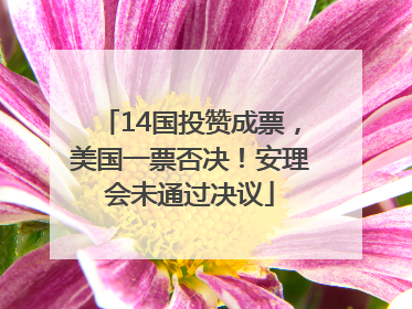 14国投赞成票，美国一票否决！安理会未通过决议